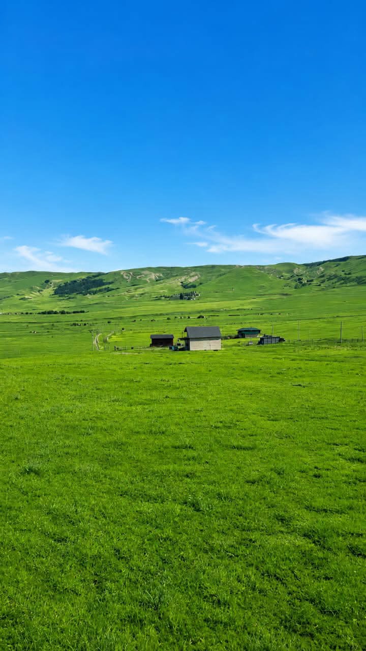 Հողակտոր, Թբիլիսի