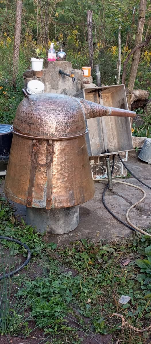 Satılık 100 litrelik alkol damıtma kazanı — 3,000₾