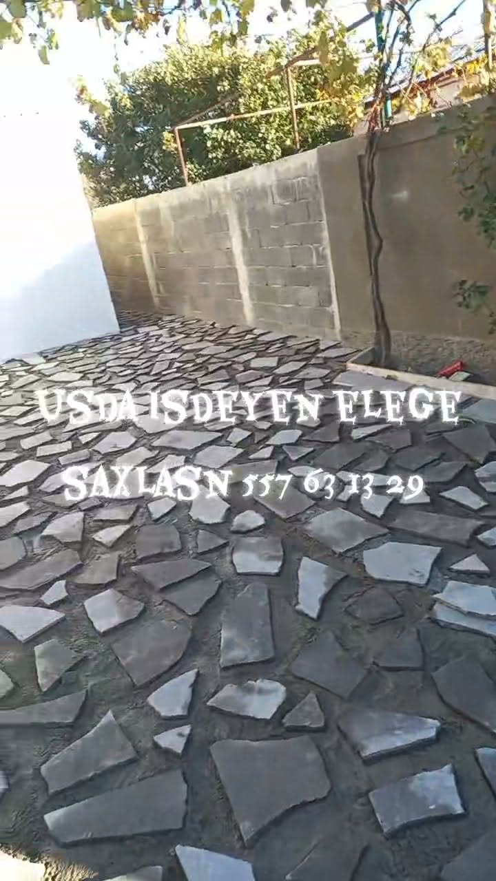 Kivi xelosani