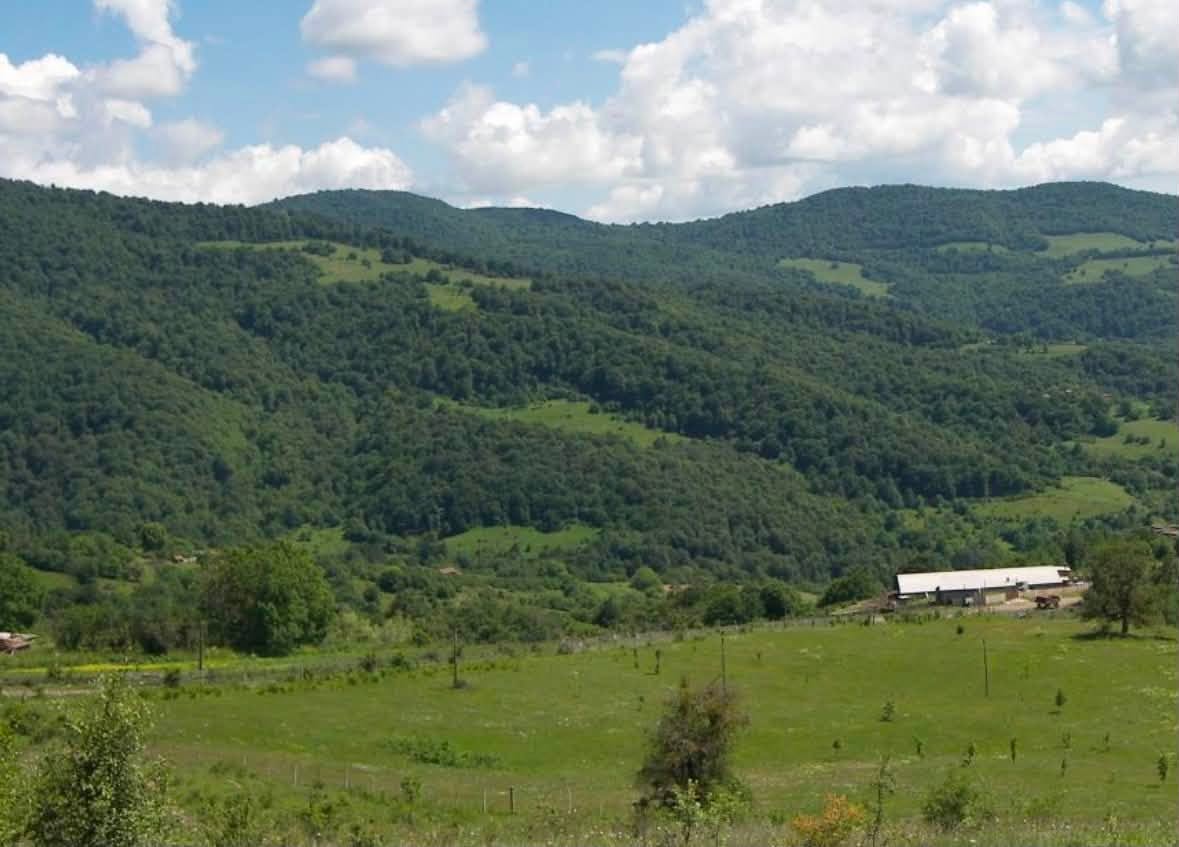 მიწის ნაკვეთი, საგარეჯო — $20,000
