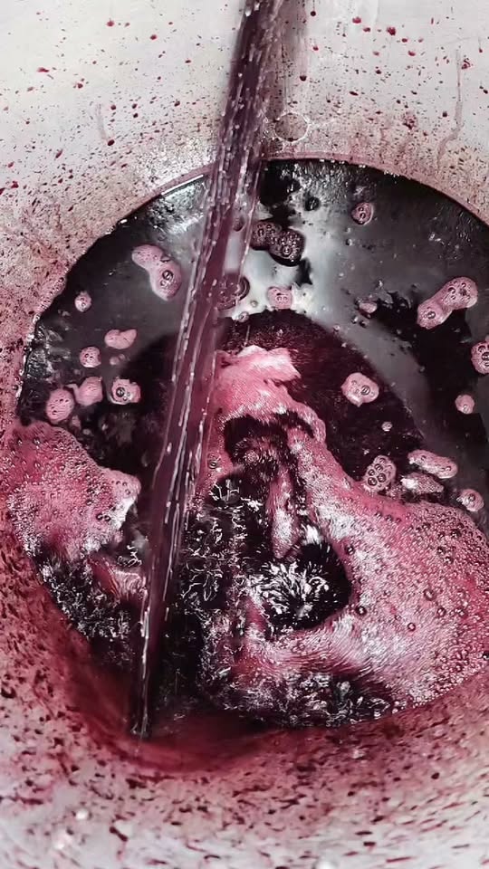 Doğal Saperavi şarabı, 1 litre