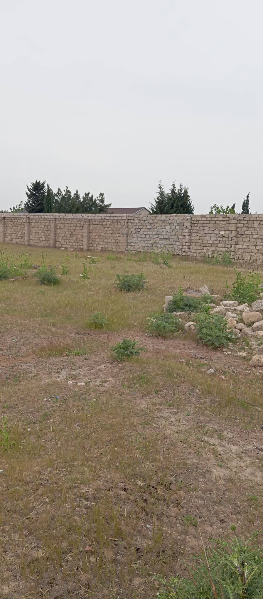 Торпаг саhəси, Баку
